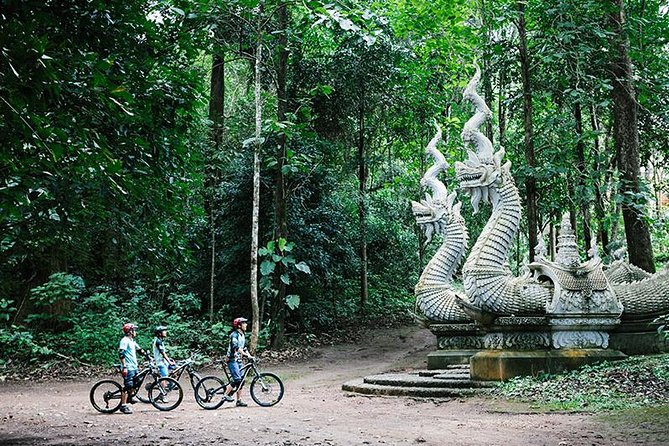Stairway to Heaven Trail Mountain Biking Tour Chiang Mai - Tour Highlights and Features